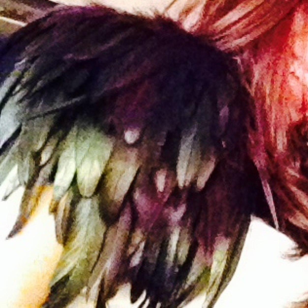 ivonnecita's profile picture. Sometimes desert, sometimes rain. Gets cheesy on wednesdays, loyal. Not quite easy to please. Writer, painter, cook, dreamer. Wine/Gin/Food lover. Happy.