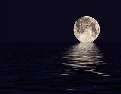 You are my favorite part in my life.
Every tide has its ebb.