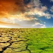 Concious ways of taking care of your health and the environment.
