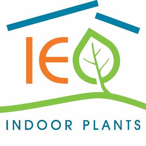 Interior Plantscaper servicing Brisbane. Australian made planters and indoor plants from SE Qld. Plants can enhance your workplace.