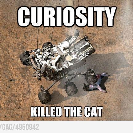 qooroq's profile picture. 