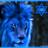 MUFC2015M's profile image
