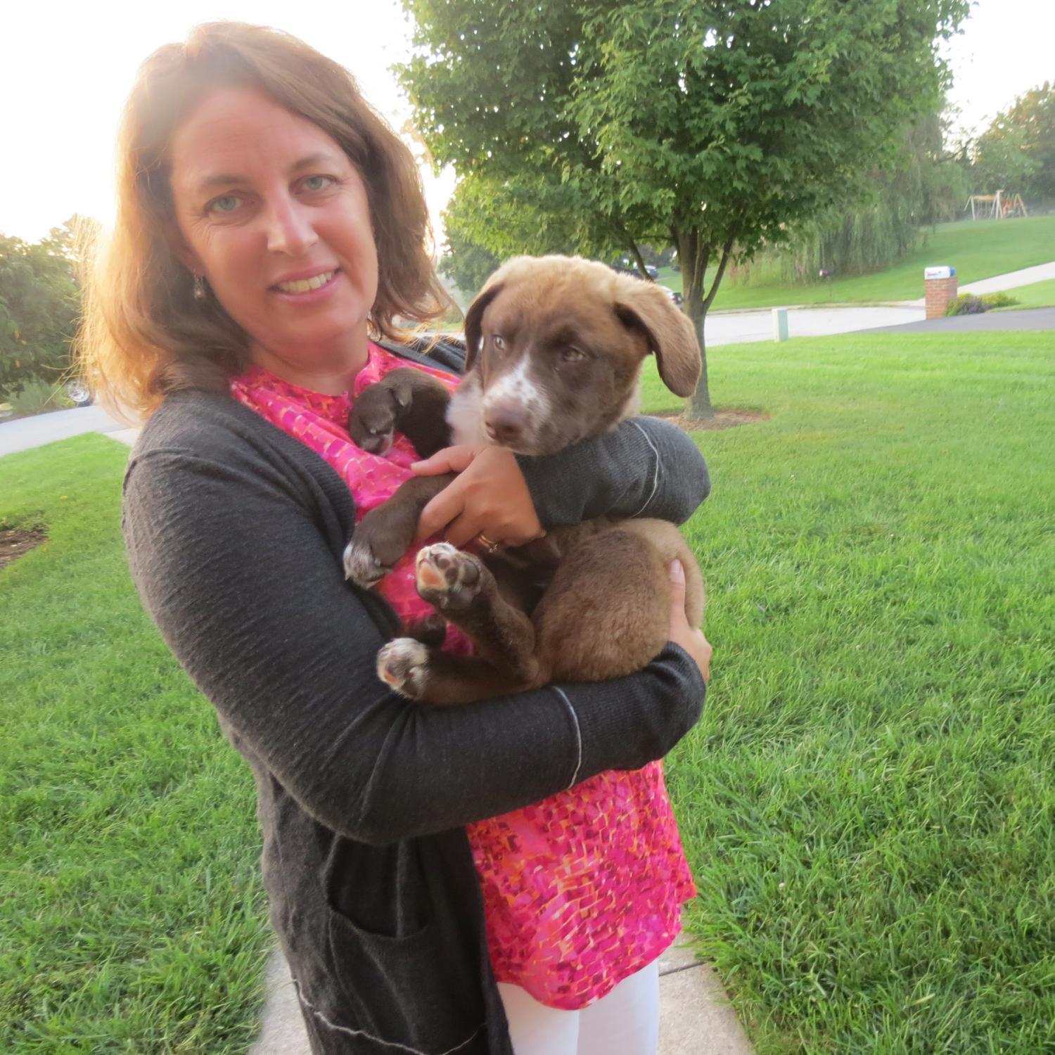 lbneiderer's profile picture. Reading Specialist, mother, rescue dog foster