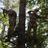 360treestands's profile image