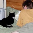 Michael Karls - @Dancecat69 - Twitter