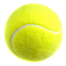 SDTFtennis's profile picture. Tweets from the San Diego Tennis Federation, an LGBT amateur tennis player organization. Member of the GLTA.