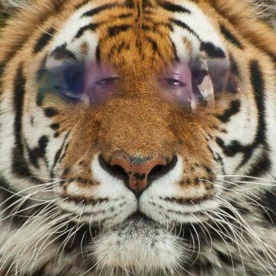 KevinWi84611779's profile picture. 