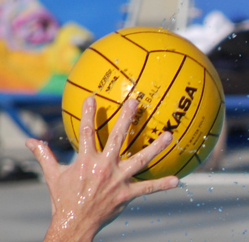 sd_waterpolo's profile picture. 