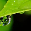 Edgar Moncada - @9b645000039f426 - Twitter