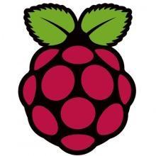 raspiono's profile picture. Kenal akun @widodolestari, nah ini akun backupnya.