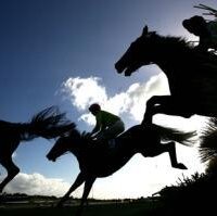 Galway Races(@galwayraces) 's Twitter Profileg