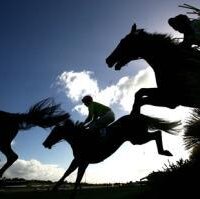 Galway Races (@galwayraces) 's Twitter Profile