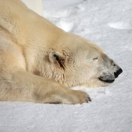 marketeks's profile picture. 