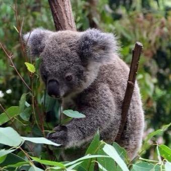 daigoro0215's profile picture. UT-38/物理/テニス/ボウリング/マラソン/筋トレ/関西住み