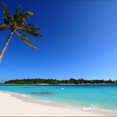 mashak01's profile picture. All you need is love.