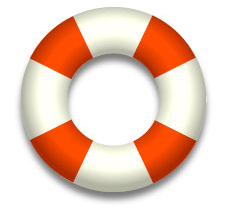 cmssupport's profile picture. CMS Website Platform Updates