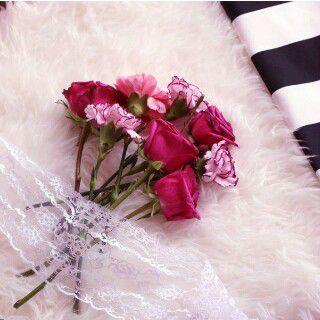 ‏فيٓنـــــــــــــــيٓ ﺧ̲ــــــــــــيٓـر