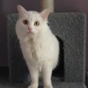 Grace Jin - @Grace_BB - Twitter