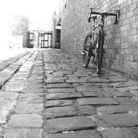 Lion of Roubaix (@lionofroubaix) 's Twitter Profile Photo Lion of Roubaix (@lionofroubaix) 's Twitter Profile Photo