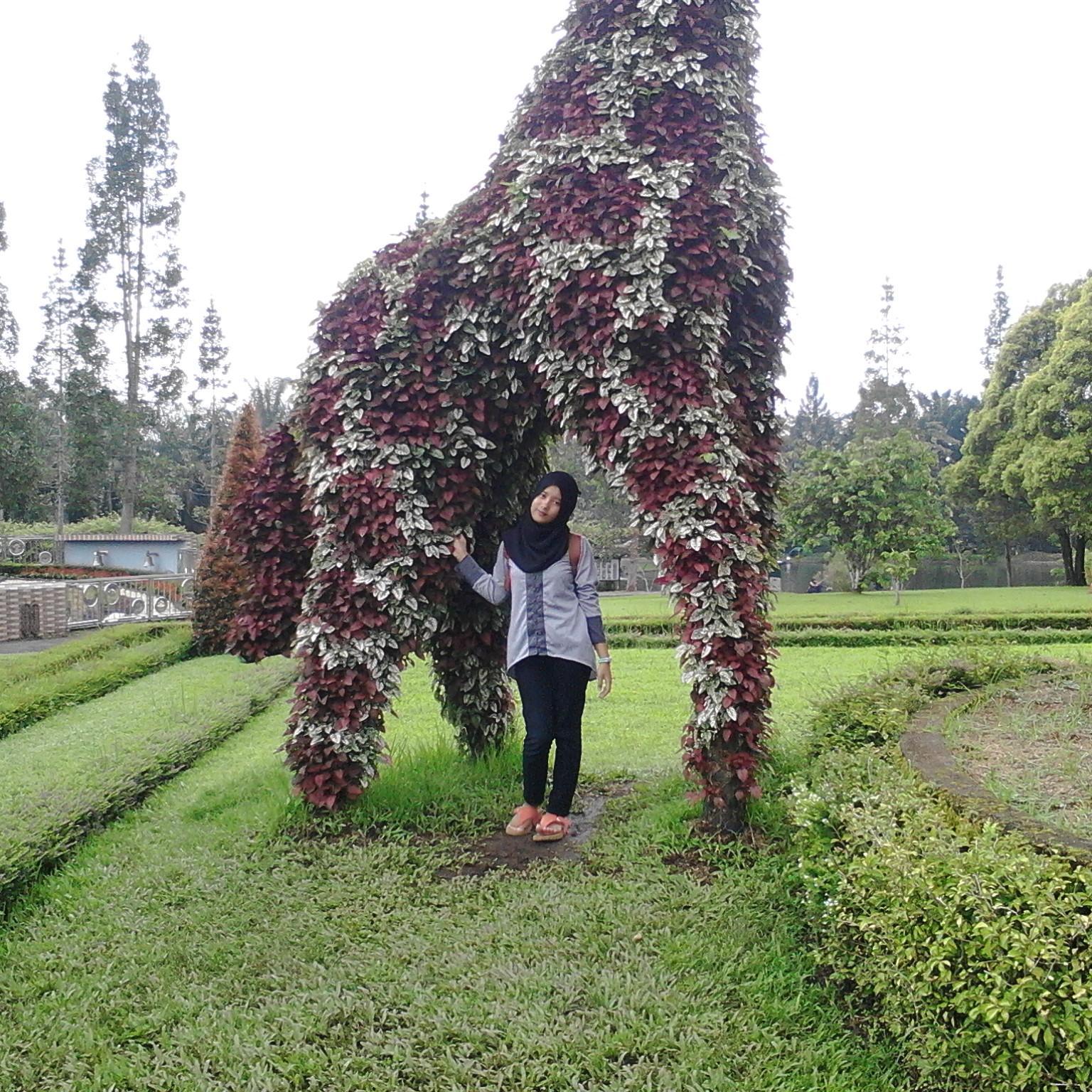 Fitri240912's profile picture. positive thingking and do the best