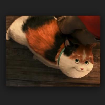 Cats rule/ #stairs squad / best cat out there / I'm fluffy /Trolling hiro hamada when he sneaks baymax around