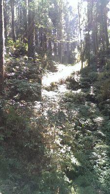 Antonia17181's profile picture. | Star Wars | Obikin | AOT | エルリ |