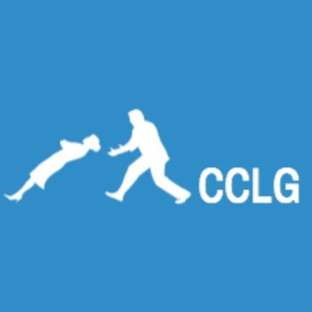CCLG_31's profile picture. Guarantees its clients success by generating them new revenue opportunities.