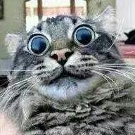 StryczekMarcel's profile picture. 