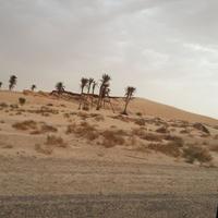 محسن جبير (@e7a70683e6ca4a0) 's Twitter Profile