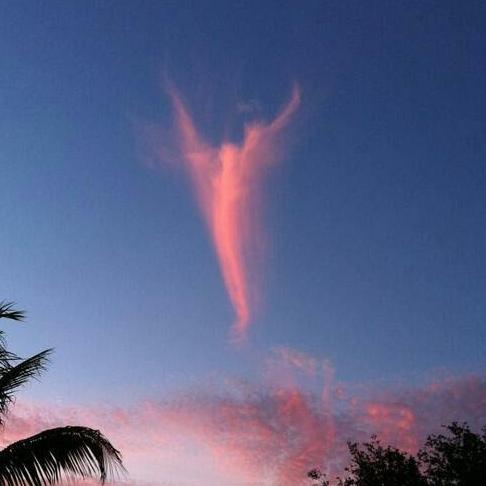 AzureFairyQueen's profile picture. I have a background in theater, broadcasting, metaphysical psychology, and animal rescue etc. I love truly kind  hearted, trustworthy beings. I love.