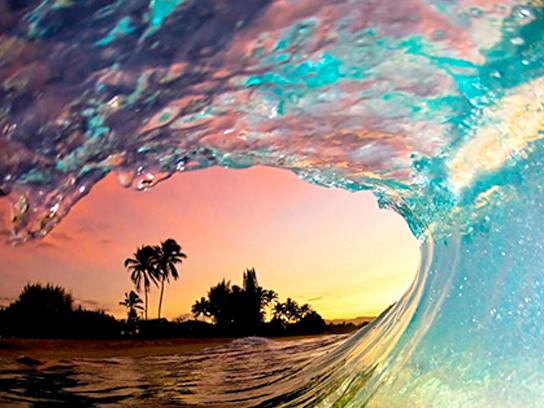 CorreaTracy's profile picture. Nursing Student. All else will pretty much remain in limbo for the duration.