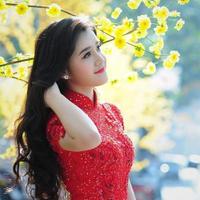 Ha Thi Hanh (@hahanh0802) 's Twitter Profile