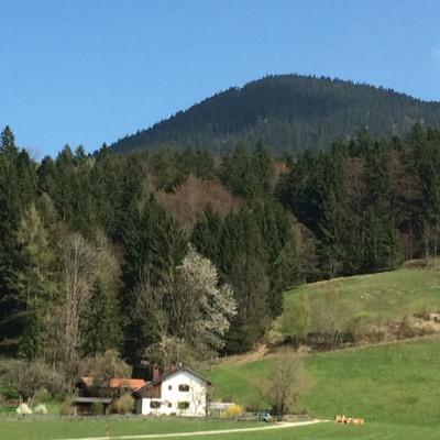 ahmed66233089's profile picture. 