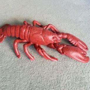 Plastic Lobster (@plastic_lobster) / X