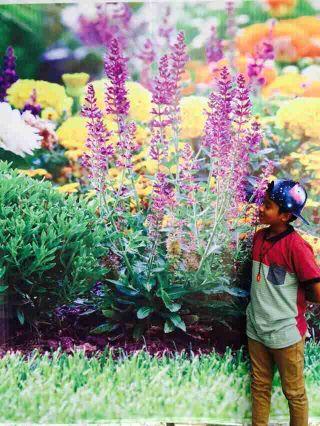 IdWeChAt:syahmi_syafiq02