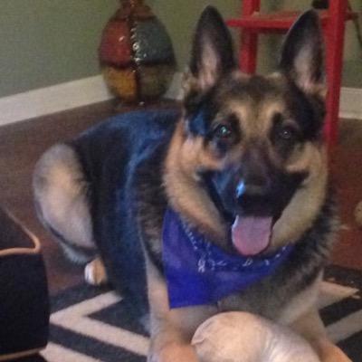 brendacperry's profile picture. 