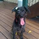 Kim Teague - @5d5c3b1cd5504fe - Twitter