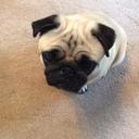 Miss Isabel Hewitt - @MissIsabelHewit - Twitter