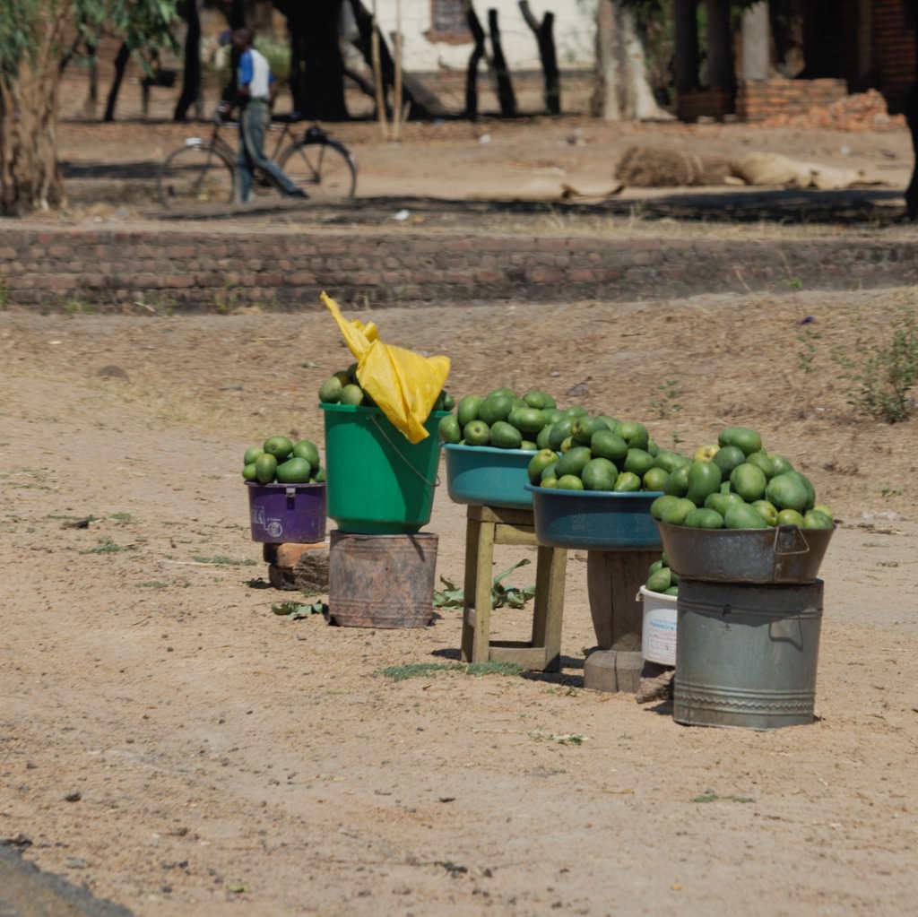 Steffitours's profile picture. 