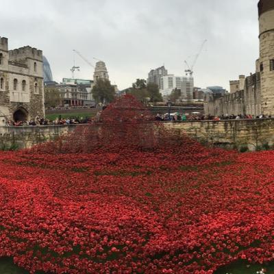 gapickett's profile picture. 