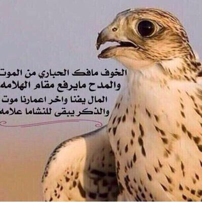 استغفر الله ..!!