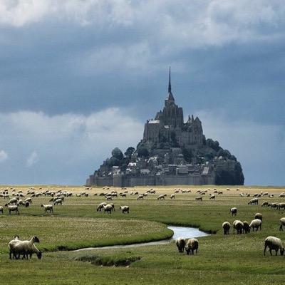 sez144's profile picture. Wayfarer for long and build friendships Egyptian. i would learne e