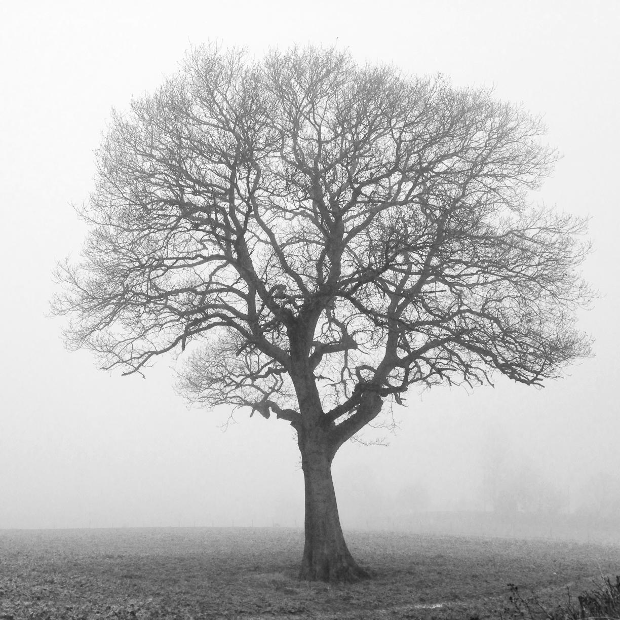 marcuswootton's profile picture. 