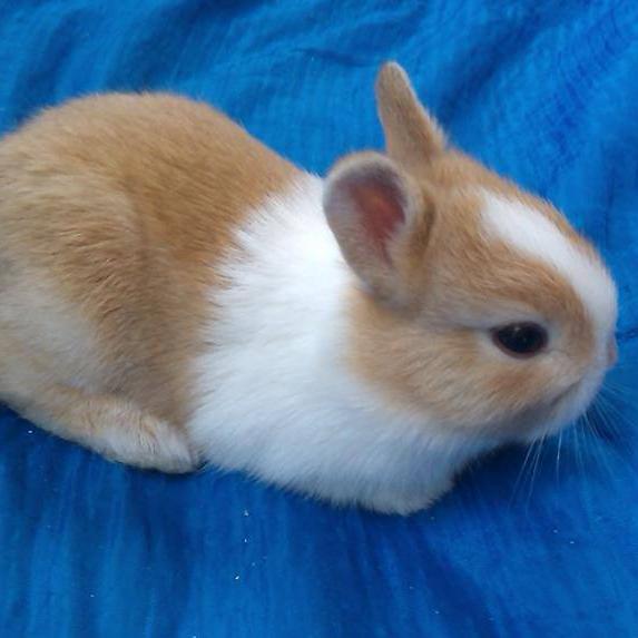 sfsdy1314304's profile picture. 