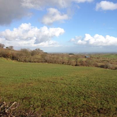 Dagoatla's profile picture. 