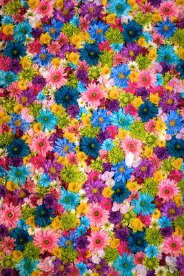 sj_ecotraffic's profile picture. 맞팔100%!!즐거운 인생~~^^