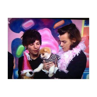 ●One Direction,Ed Sheeran,Emma●