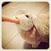 Fraser (@fraser9016) Twitter profile photo