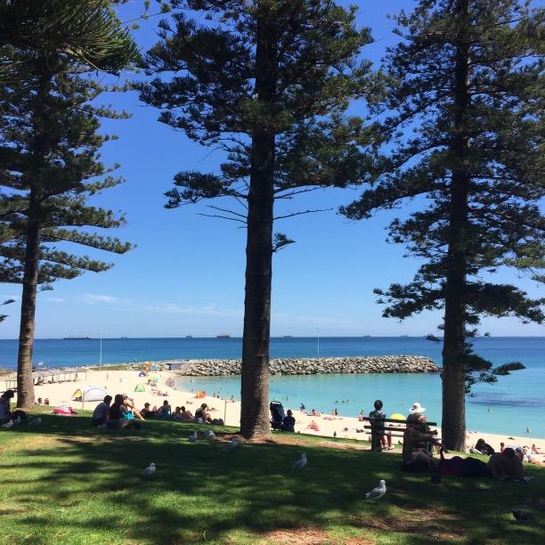 soscottesloe's profile picture. Cottesloe Residents' & Ratepayers Assoc