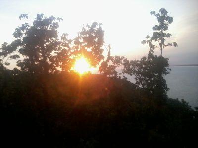 Berita dari Pelosok Desa | Kec. Gandrungmangu, Kab. Cilacap, Jateng | kontak: muktisari.gdm@gmail.com / @samsulmaarif_ | @PenaDesa